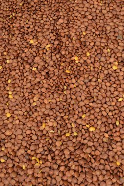 Arkaplan olarak mercimek. Üst görünüm. 