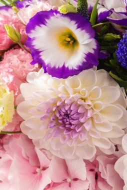 Beyaz arka planda izole edilmiş pembe bir kutuda pembe ve mor çiçek demeti.. 