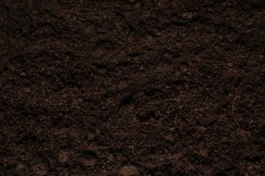 Bitkiler için kara toprak. Üst görünüm. 