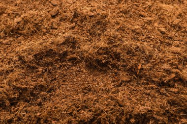 Hindistan cevizi substrat arka planı. Üst görünüm.