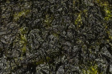 Beyaz arka planda izole edilmiş lezzetli yosun..