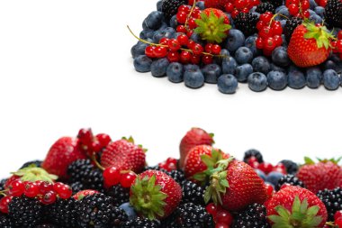 Böğürtlen, ahududu, yaban mersini, beyaz arka planda kırmızı frenk üzümü. Üst görünüm.