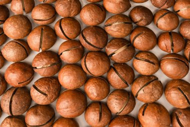 Beyaz arka planda izole edilmiş kabuklu Macadamia fındıkları. Üst görünüm.