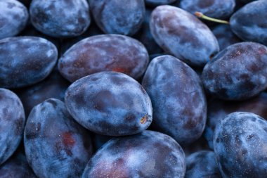 Taze erikler. Üst Manzara. Organik yiyecekler.