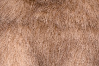 Arka plan olarak sahte kürk dokusu, üst görünüm.