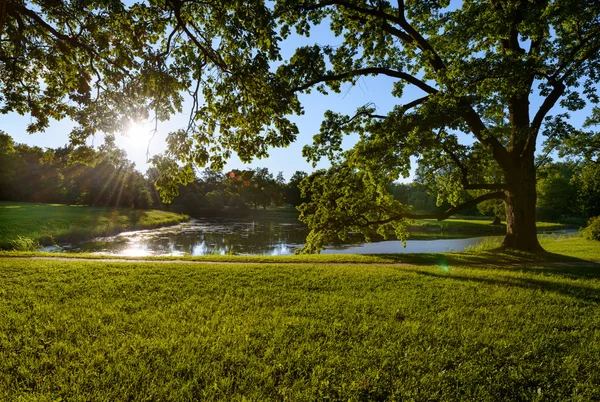 Güzel Catherine Park. Rusya. Pushkin