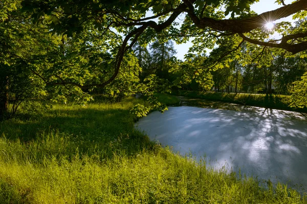 Hermosa Catherine Park. Rusia. Pushkin. — Foto de Stock