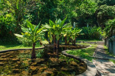 tirtaganga su Sarayı Endonezya bali Adası'nda
