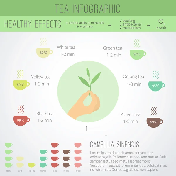 Tea time infographie — Image vectorielle