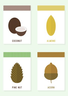 Fındık kartlarla. Vektör çizim