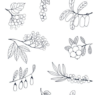 Berries sketch seamless pattern. Vector illustration