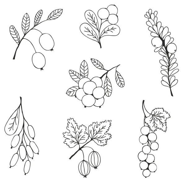 Berries sketch seamless pattern. Vector illustration — Vetor de Stock