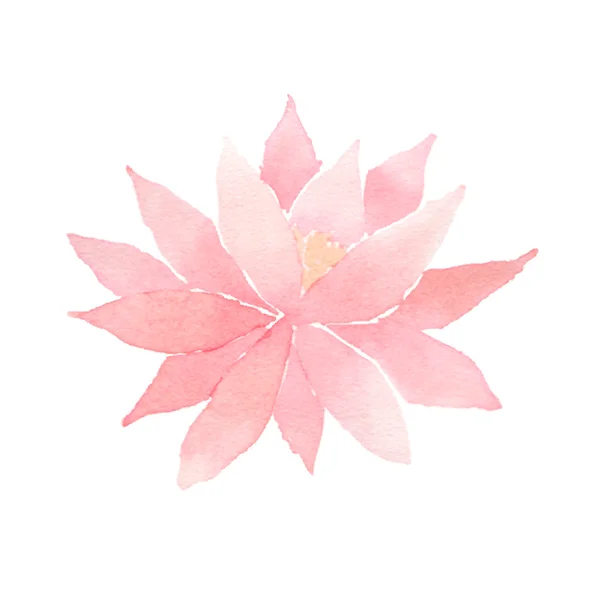 Vector watercolor lotus flower pink — Stock Vector