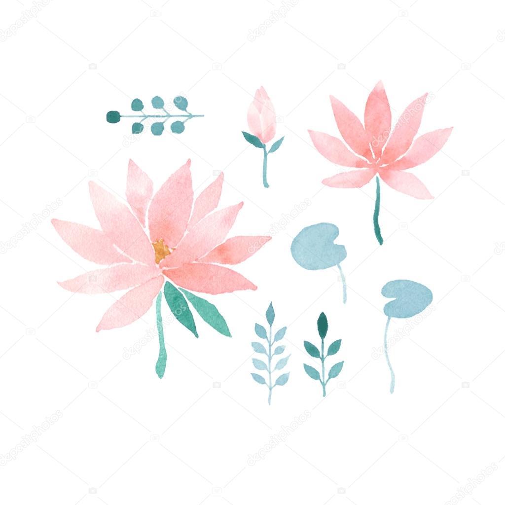 Watercolor floral set with lotus flowers