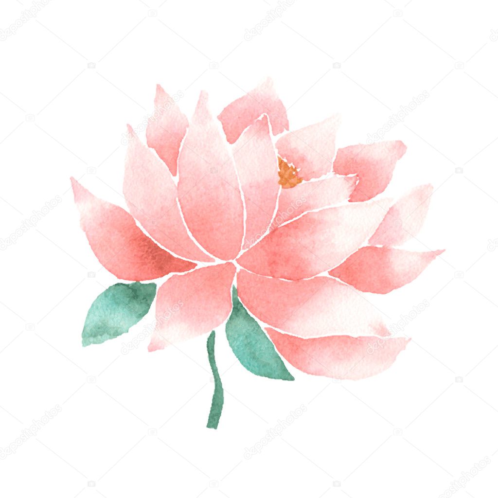 Watercolor lotus flower pink. Vector painted decorative element isolated on white background. Logo template. Symbol of India, oriental practices, yoga, ayurveda, meditation and buddhist culture