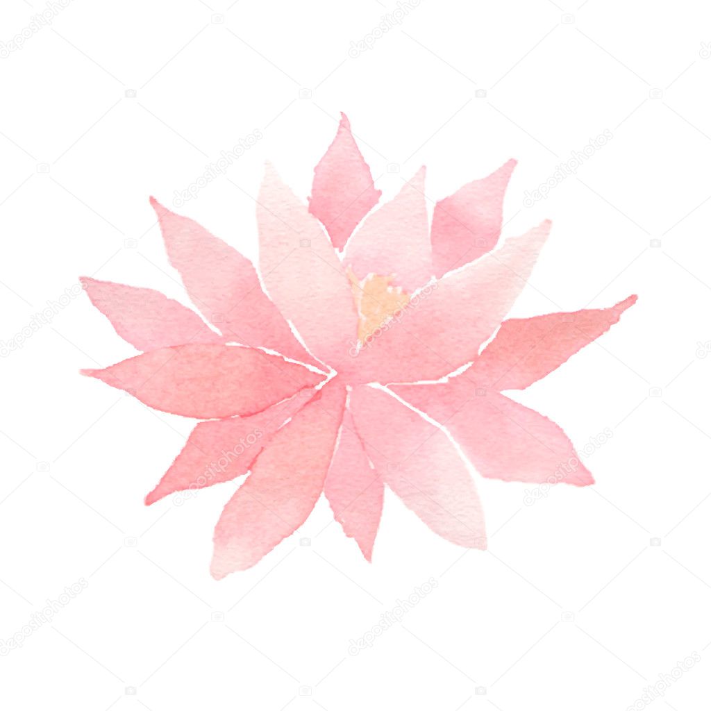 Watercolor lotus flower pink. Vector painted decorative element isolated on white background