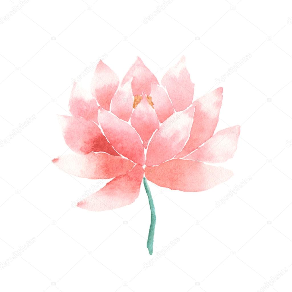 Watercolor lotus flower pink. Vector painted decorative element isolated on white background. Logo template. Symbol of India, oriental practices, yoga, ayurveda, meditation and buddhist culture