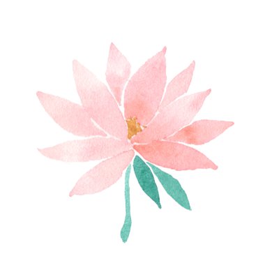 Vektör suluboya lotus çiçek pembe