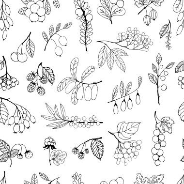 Sorunsuz arka plan Bahçe ve vahşi çizilmiş kroki çilek