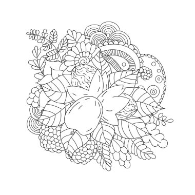 Ceviz izole. Siyah ve beyaz doodle desen