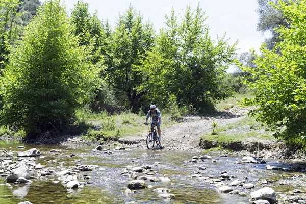 Mountain biker in nature — Stock Photo, Image