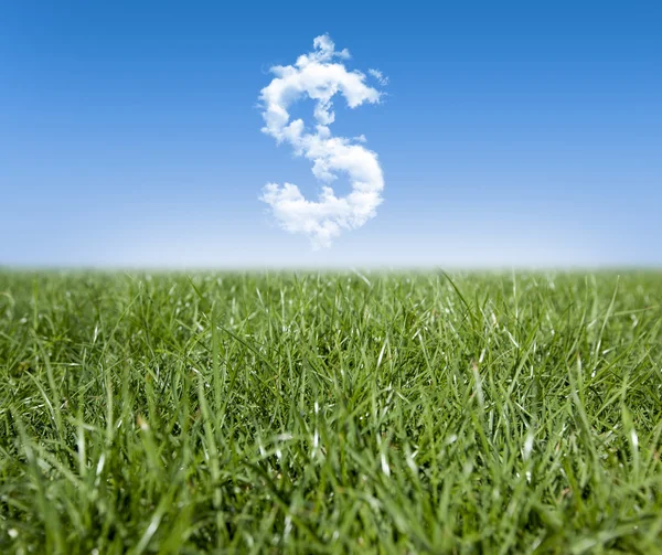 Grass Clouds and Money — Stock Photo, Image