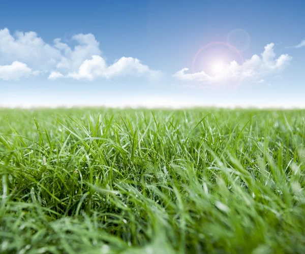 Grass and clouds — Stock Photo, Image
