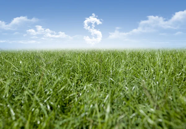 Grass Clouds and Money — Stock Photo, Image