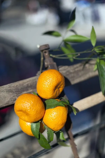 Přírodní organické mandarinky — Stock fotografie