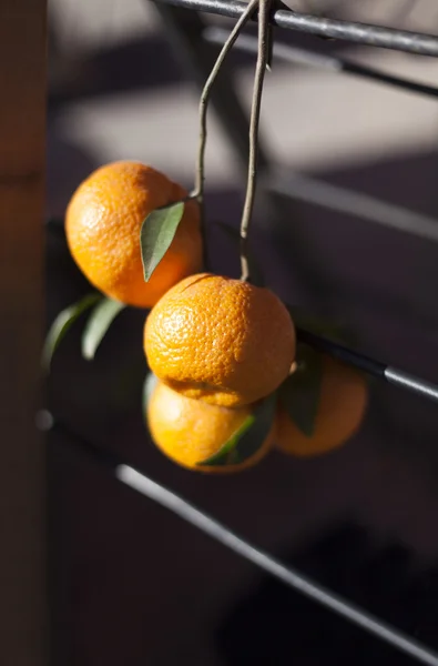 Natural organic tangerines — Stock Photo, Image