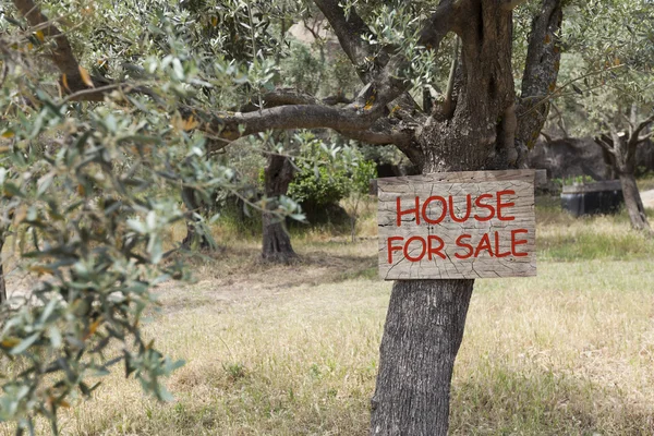 Sign for natural house sale on an olive tree — Stock Photo, Image