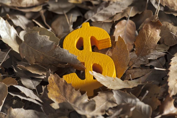Icônes de l'économie internationale et unité monétaire sur les feuilles d'automne — Photo