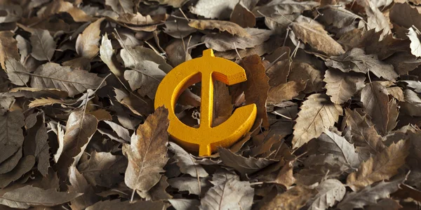 International economy icons and currency unit on autumn leaves — Stock Photo, Image