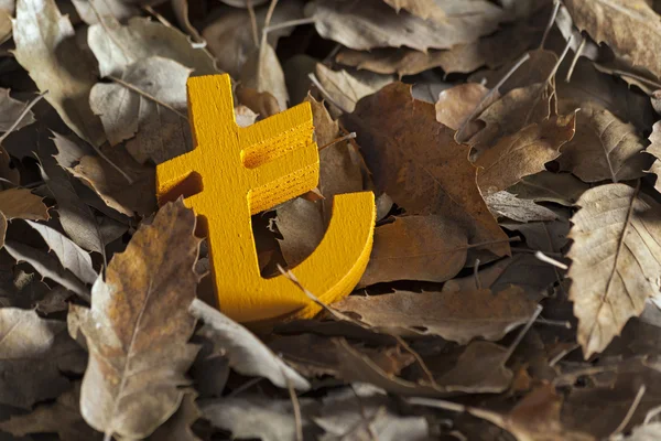 Iconos de la economía internacional y unidad monetaria en hojas de otoño — Foto de Stock