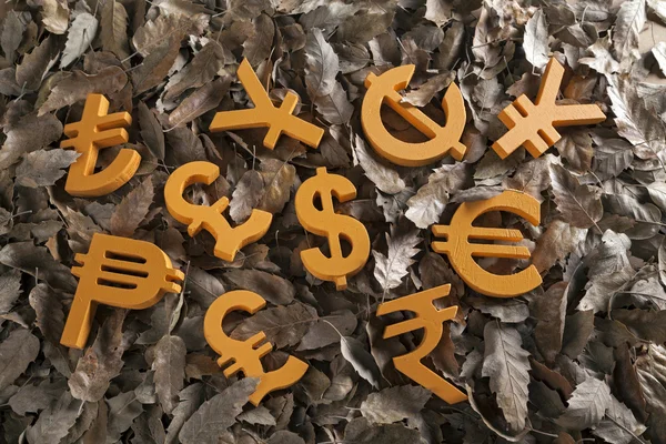 International economy icons and currency unit on autumn leaves — Stock Photo, Image