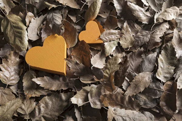 Romantis musim gugur daun latar belakang — Stok Foto