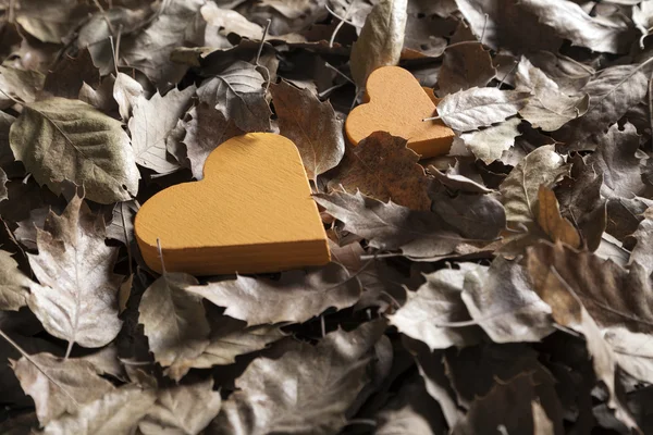 Romantische Herbstblätter Hintergrund — Stockfoto