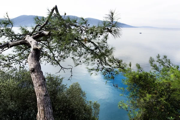 Vista dalle montagne di Akyaka — Foto Stock