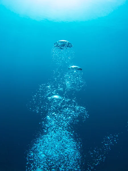 Bubblor från en Scuba diver — Stockfoto