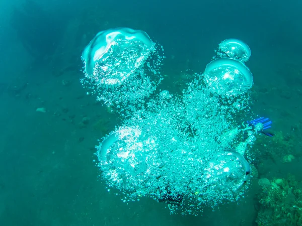 Burbujas de un buceador SCUBA — Foto de Stock