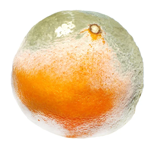 Moulded orange isolated — Stock Photo, Image