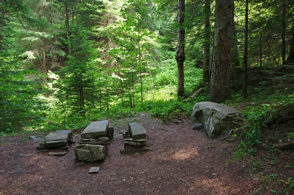 Rastplatz im Wald — Stockfoto