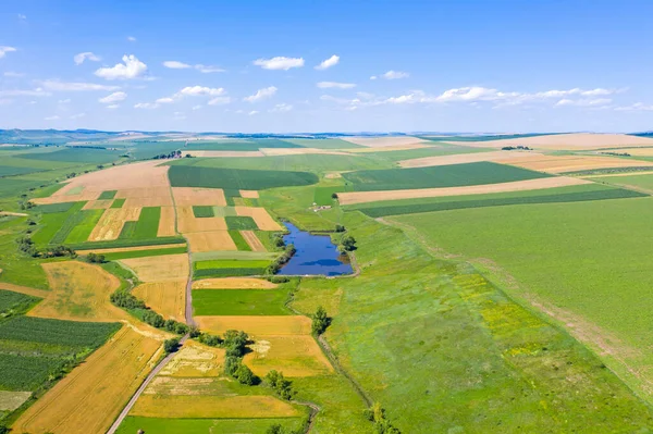 Aerial Summer Agriculture Fields Lake Farm — Stock Photo, Image