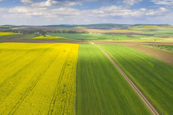 Campos Verdes Amarelos Frescos Vistos Cima Durante Primavera Perto Fazenda — Fotografia de Stock