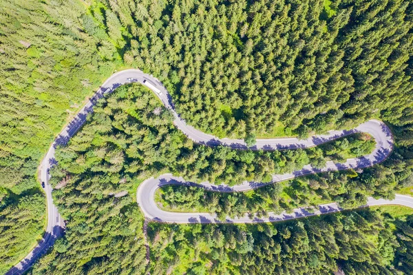 Vista Superior Carretera Curva Bosque Pinos Camino Sinuoso Desde Arriba — Foto de Stock