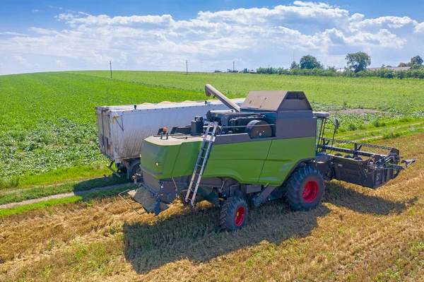 Combine unloading cereal grains in a truck, on summer cereal field