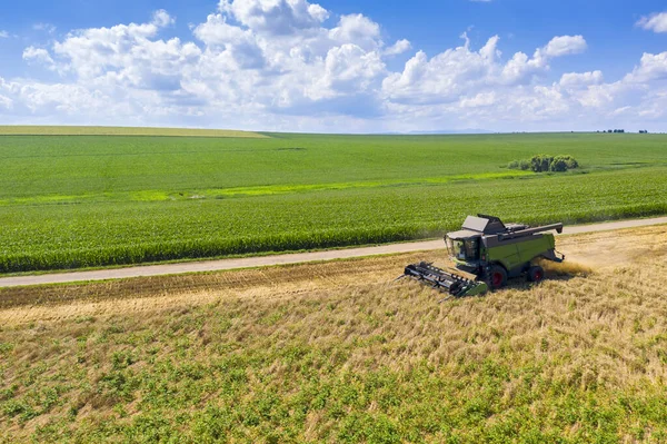 Trabajo Cosechadora Cosechadora Máquina Campo Trigo Escena Granja Verano Aéreo — Foto de Stock