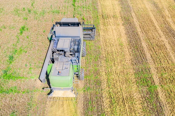 Boven Het Zicht Van Het Combineren Oogsten Tarweveld Landbouw Veldwerk — Stockfoto