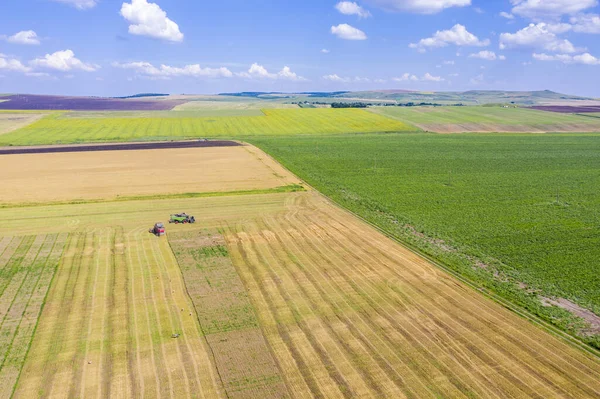 Luftaufnahme Von Landwirtschaftlichen Maschinen Die Auf Einem Weizenfeld Arbeiten — Stockfoto