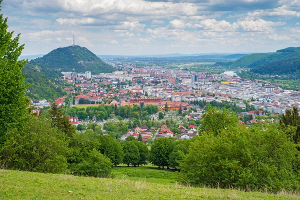 緑の丘から見た夏の都市 ルーマニアのピアトラ ネアムト市の空中風景 ロイヤリティフリーのストック写真